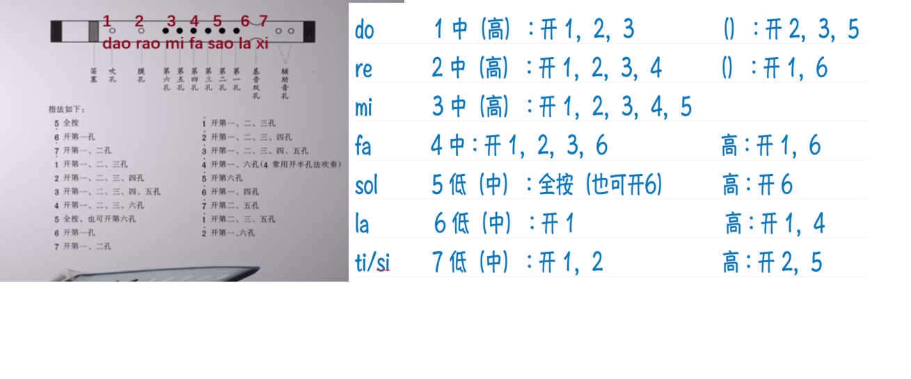 手形与指法